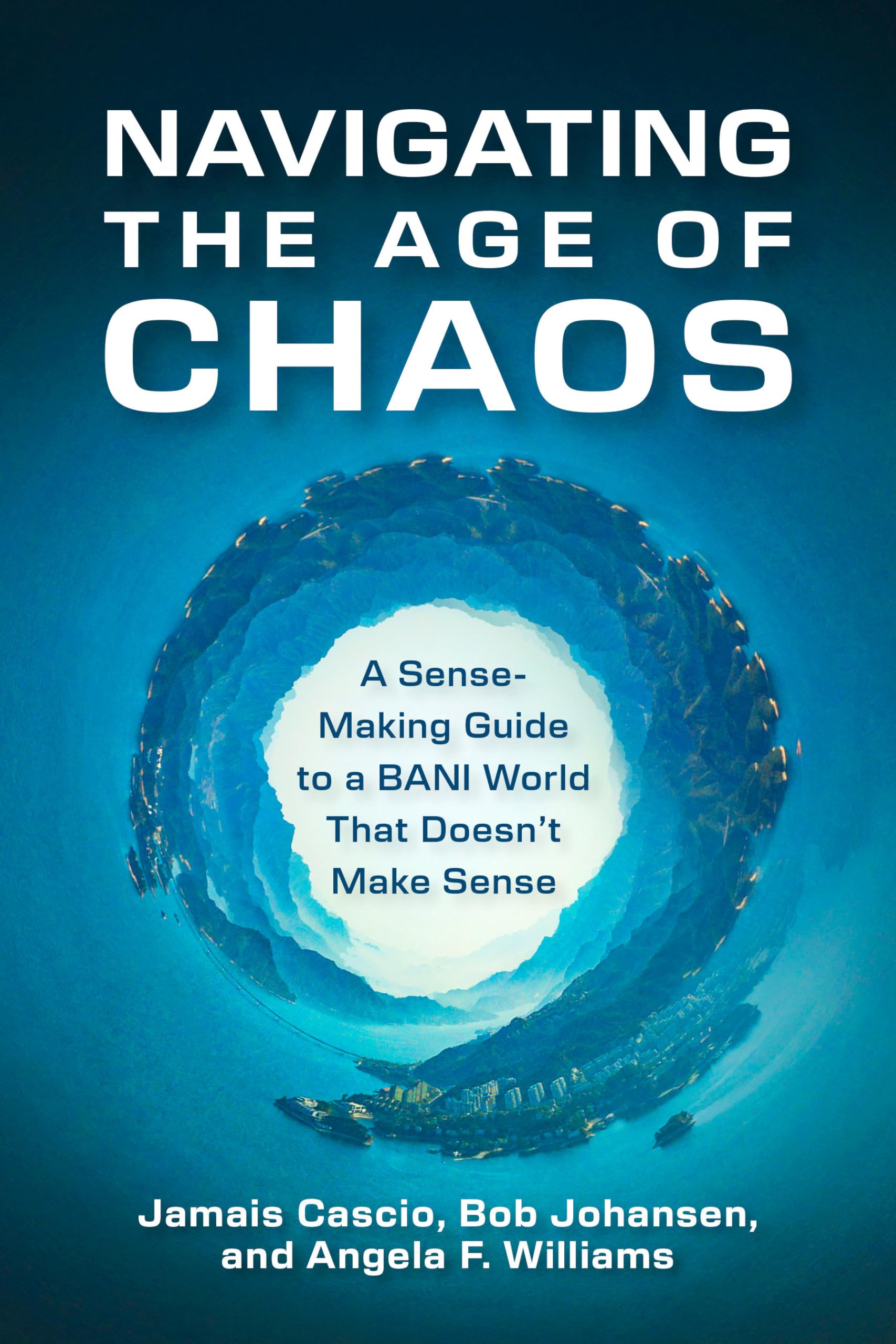 Navigating the Age of Chaos: A Sense-Making Guide to a BANI World